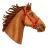 HR